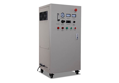 臭氧能直接用于食品杀菌吗