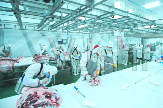 臭氧在肉类加工厂中的使用